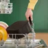 Philips 3000-Serie Essential Airfryer XL - Image 3